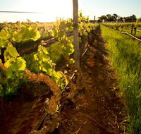 Kaesler Old Vine Vineyard Tour - Lightning Ridge Tourism