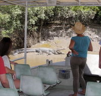 Whitsunday Crocodile Safari - Lightning Ridge Tourism
