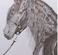 Great Lakes Art Society - Lightning Ridge Tourism