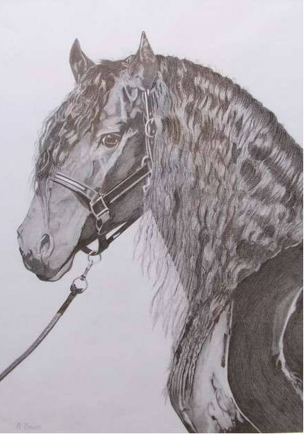Great Lakes Art Society - Lightning Ridge Tourism 0