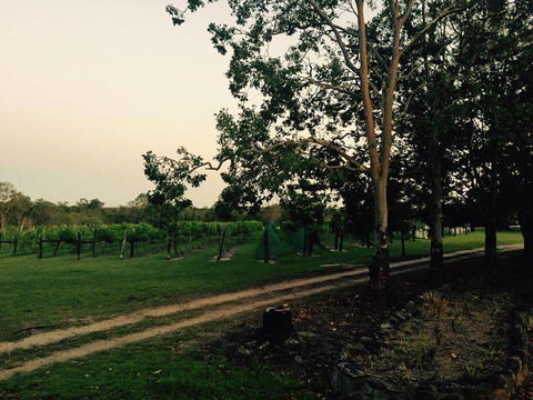Brierley Wines - Lightning Ridge Tourism 0