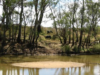 The Next Grind - Lightning Ridge Tourism 3