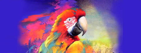 Tina Cooper Gallery - Lightning Ridge Tourism 2