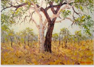 Peter Lawson Fine Art - Lightning Ridge Tourism 1