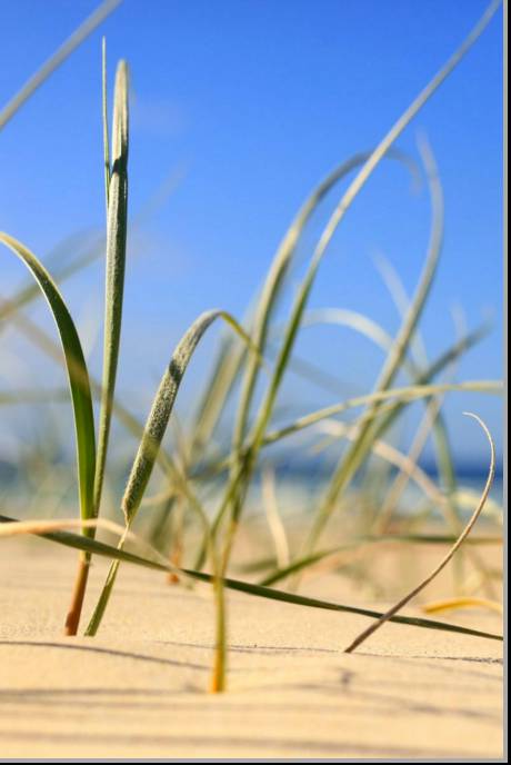 Coastal Visions Photography - Lightning Ridge Tourism 1