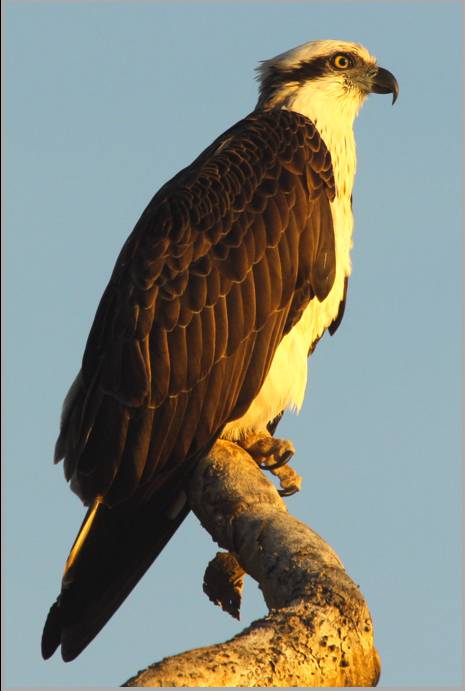 Coastal Visions Photography - Lightning Ridge Tourism 2