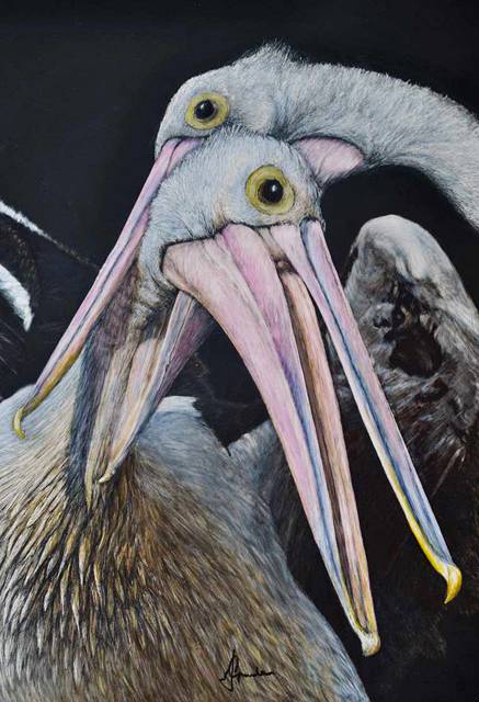 Caldera Wildscapes Gallery - Lightning Ridge Tourism 1