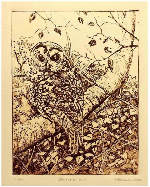 Caldera Wildscapes Gallery - Lightning Ridge Tourism 3