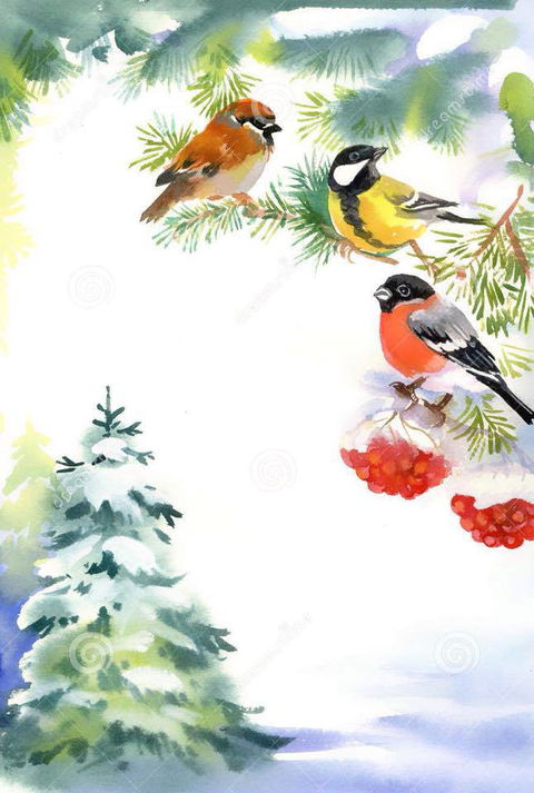 Two Birds Gallery - Lightning Ridge Tourism 2