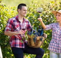 Two Tails Wines - Lightning Ridge Tourism