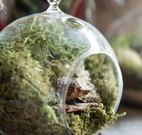 Moxom and Whitney - Lightning Ridge Tourism