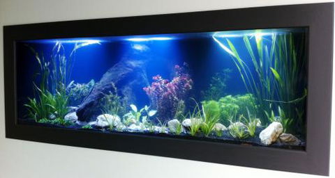 Aquariums In Cairns - Lightning Ridge Tourism 0