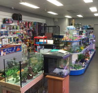Nambour Pet Shop - Lightning Ridge Tourism