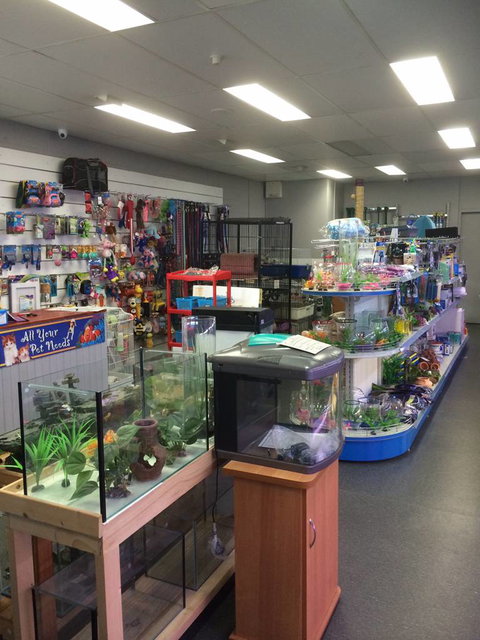 Nambour Pet Shop - Lightning Ridge Tourism 0
