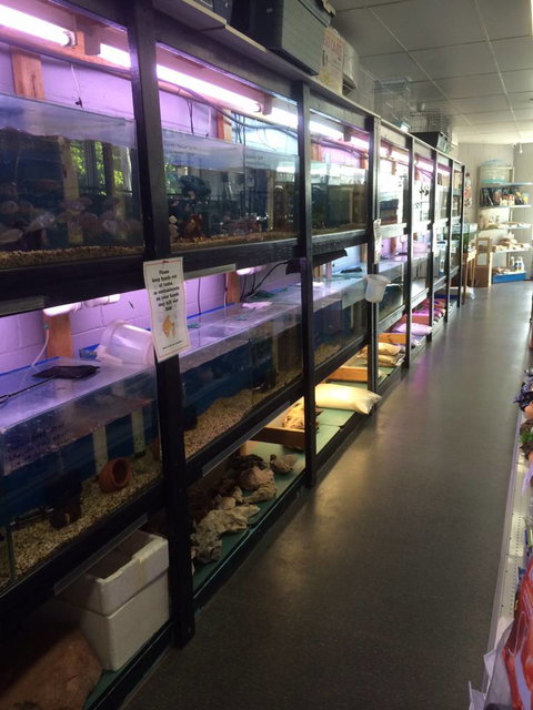 Nambour Pet Shop - Lightning Ridge Tourism 1