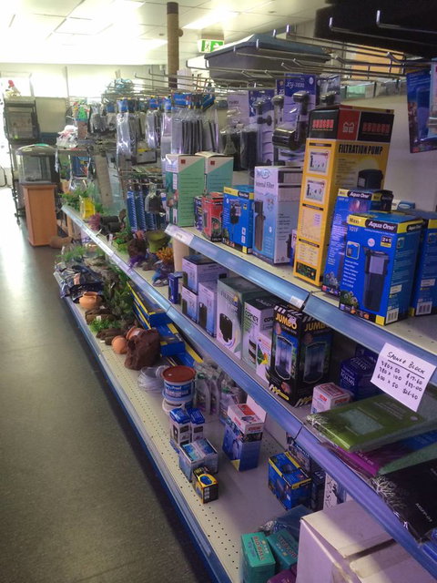 Nambour Pet Shop - Lightning Ridge Tourism 2