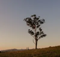 Faulls Ridge Winery - Lightning Ridge Tourism