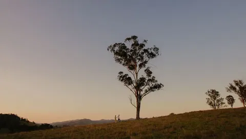 Faulls Ridge Winery - Lightning Ridge Tourism 0