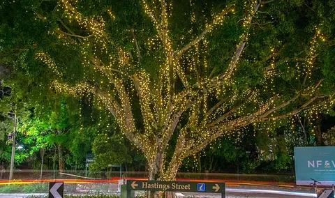 The Sunshine Coast Tour Company - Lightning Ridge Tourism 3