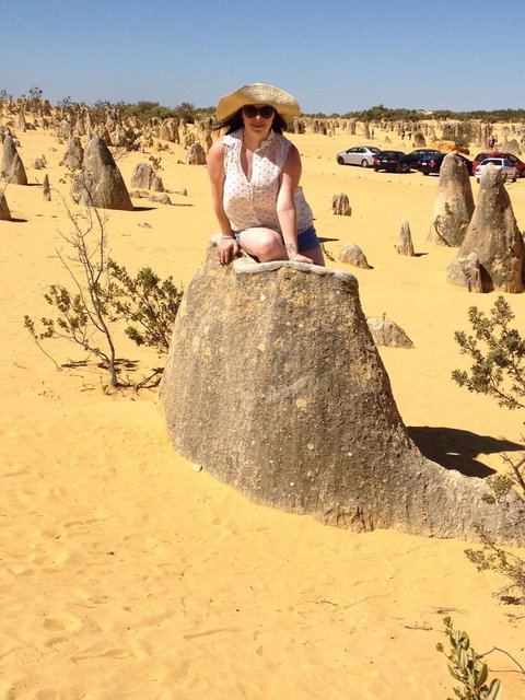 Pinnacles Desert, Koalas And Sandboarding 4WD Day Tour From Perth - Lightning Ridge Tourism 18