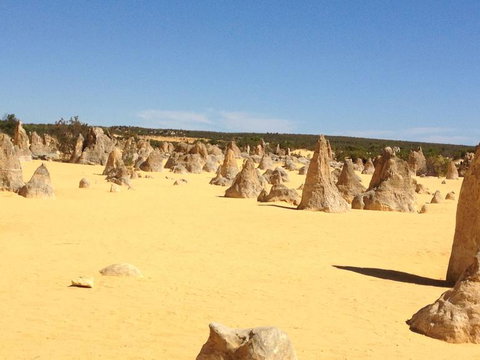 Pinnacles Desert, Koalas And Sandboarding 4WD Day Tour From Perth - Lightning Ridge Tourism 15