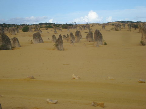 Pinnacles Desert, Koalas And Sandboarding 4WD Day Tour From Perth - Lightning Ridge Tourism 23