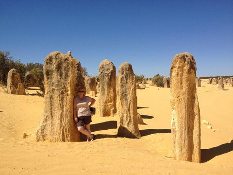 Pinnacles Desert, Koalas And Sandboarding 4WD Day Tour From Perth - Lightning Ridge Tourism 17