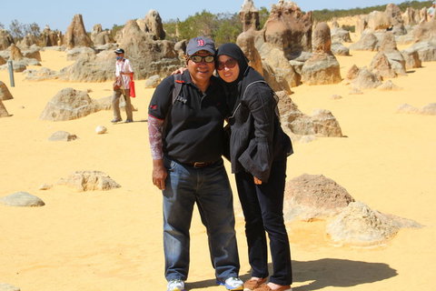 Pinnacles Desert, Koalas And Sandboarding 4WD Day Tour From Perth - Lightning Ridge Tourism 12