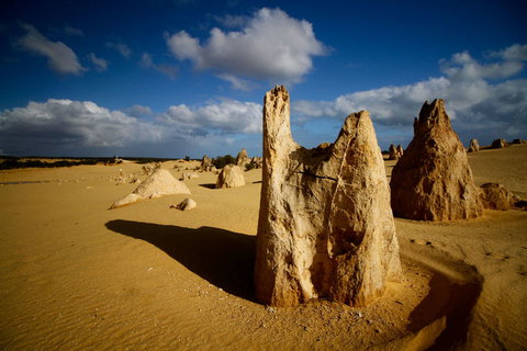 Pinnacles Desert, Koalas And Sandboarding 4WD Day Tour From Perth - Lightning Ridge Tourism 6