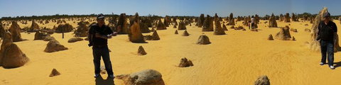 Pinnacles Desert, Koalas And Sandboarding 4WD Day Tour From Perth - Lightning Ridge Tourism 11