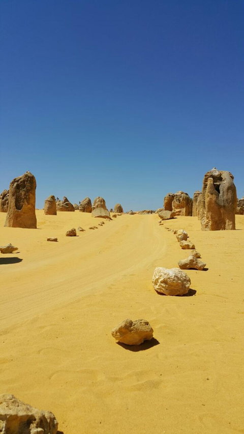Pinnacles Desert, Koalas And Sandboarding 4WD Day Tour From Perth - Lightning Ridge Tourism 3
