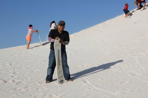 Pinnacles Desert, Koalas And Sandboarding 4WD Day Tour From Perth - Lightning Ridge Tourism 9