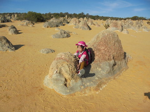 Pinnacles Desert, Koalas And Sandboarding 4WD Day Tour From Perth - Lightning Ridge Tourism 7
