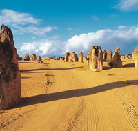 Pinnacles Desert Koalas and Sandboarding 4WD Day Tour from Perth - Lightning Ridge Tourism