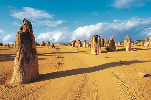 Pinnacles Desert, Koalas And Sandboarding 4WD Day Tour From Perth - Lightning Ridge Tourism 0