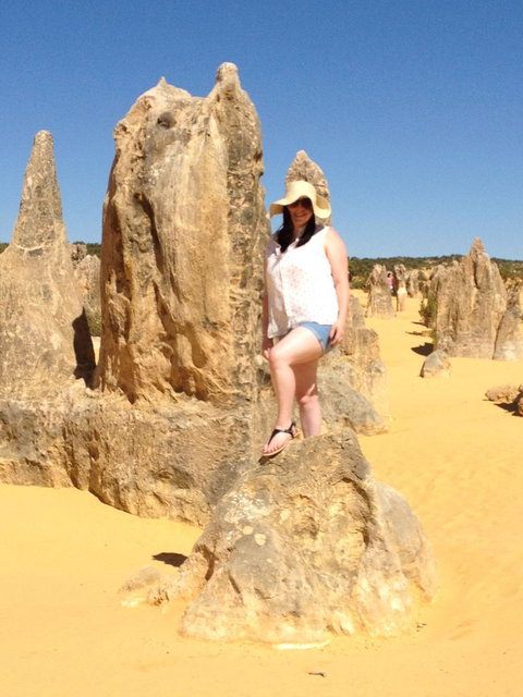 Pinnacles Desert, Koalas And Sandboarding 4WD Day Tour From Perth - Lightning Ridge Tourism 16