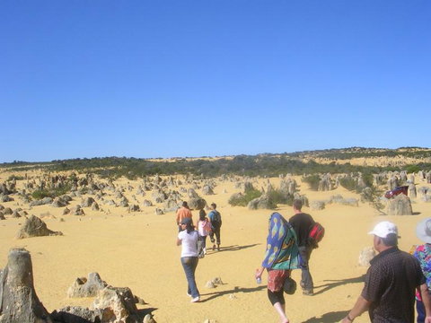 Pinnacles Desert, Koalas And Sandboarding 4WD Day Tour From Perth - Lightning Ridge Tourism 25