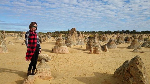 Pinnacles Desert, Koalas And Sandboarding 4WD Day Tour From Perth - Lightning Ridge Tourism 13