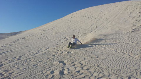 Pinnacles Desert, Koalas And Sandboarding 4WD Day Tour From Perth - Lightning Ridge Tourism 14