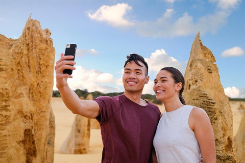 Pinnacles Desert, Koalas And Sandboarding 4WD Day Tour From Perth - Lightning Ridge Tourism 27