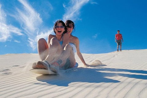 Pinnacles Desert, Koalas And Sandboarding 4WD Day Tour From Perth - Lightning Ridge Tourism 30
