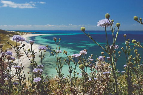 Rottnest Island Full-Day Trip With Guided Island Tour From Perth - Lightning Ridge Tourism 6