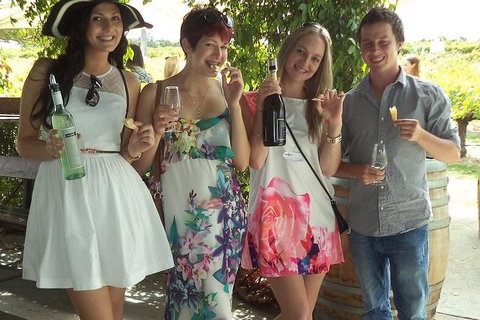1/2 Day Swan Valley Wine Cheese & Chocolate Tour Inc Afternoon Cruise To Perth - Lightning Ridge Tourism 0