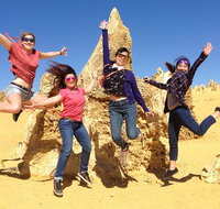 Pinnacles and Swan Valley Day Trip from Perth Including Caversham Wildlife Park Vineyard Lunch Pinnacles and Sandboarding - Lightning Ridge Tourism