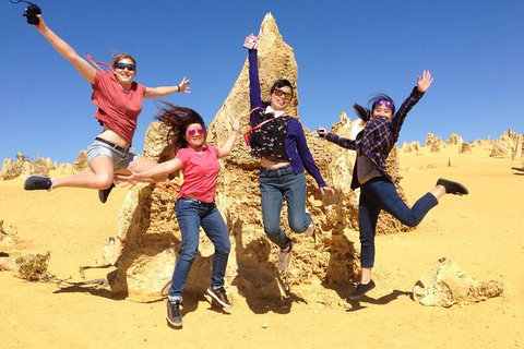 Pinnacles And Swan Valley Day Trip From Perth Including Caversham Wildlife Park, Vineyard Lunch, Pinnacles And Sandboarding - Lightning Ridge Tourism 0