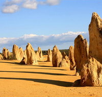 Pinnacles and Yanchep National Park Day Trip from Perth Including Lobster Shack Lunch and Sandboarding - Lightning Ridge Tourism