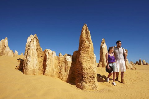 Pinnacles Day Trip From Perth Including Yanchep National Park - Lightning Ridge Tourism 1