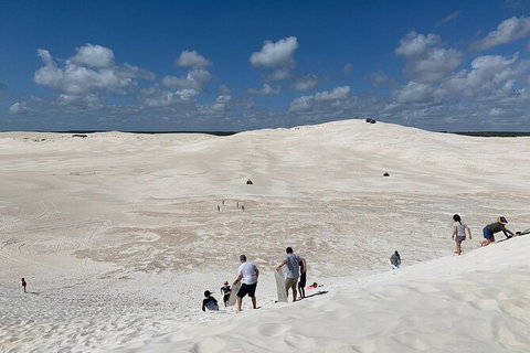 Pinnacles Day Trip From Perth Including Yanchep National Park - Lightning Ridge Tourism 3