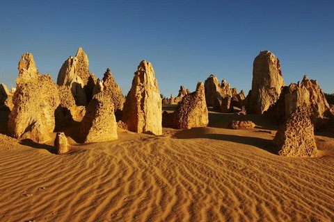Pinnacles Day Trip From Perth Including Yanchep National Park - Lightning Ridge Tourism 2
