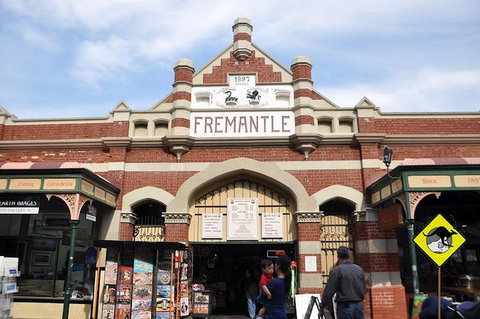 Full-Day Penguin Island & Fremantle Town - Lightning Ridge Tourism 1